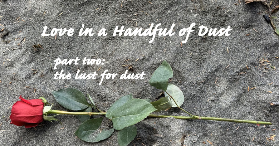 Image shows a red rose laying in the sand.
	part two: the lust for dust