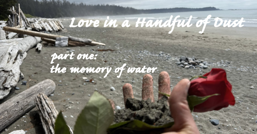Image shows an outstretched hand holding a pile of wet sand and a rose,
	on a beach with sand, ocean, and forest behind.
	part one: the memory of water